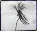 St Croix 002-09b.jpg