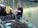 Venice 2009 192.jpg