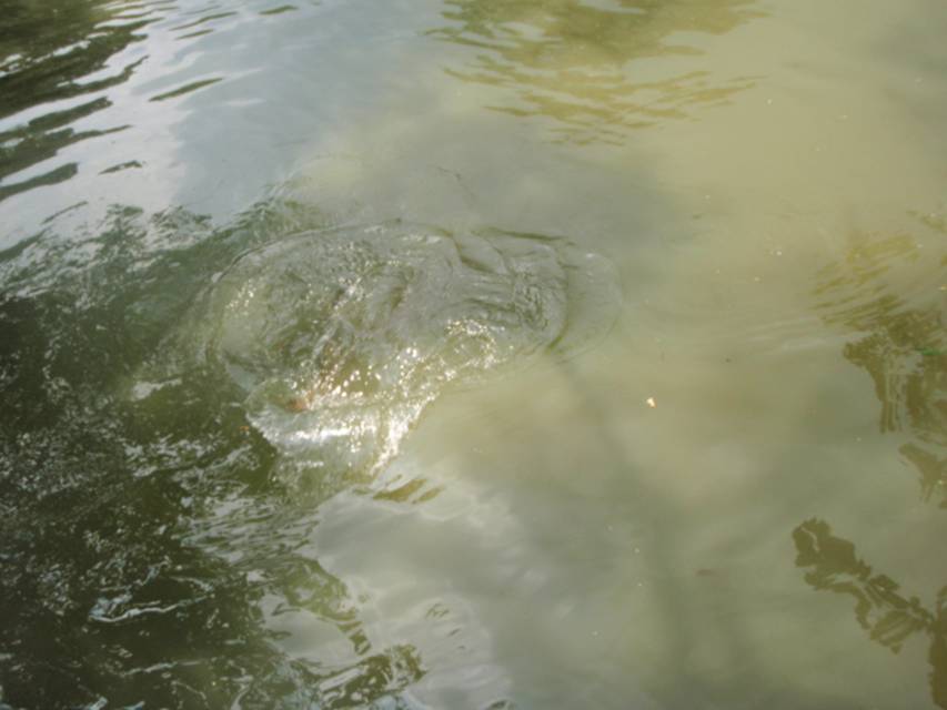 06-24-2010 001.jpg