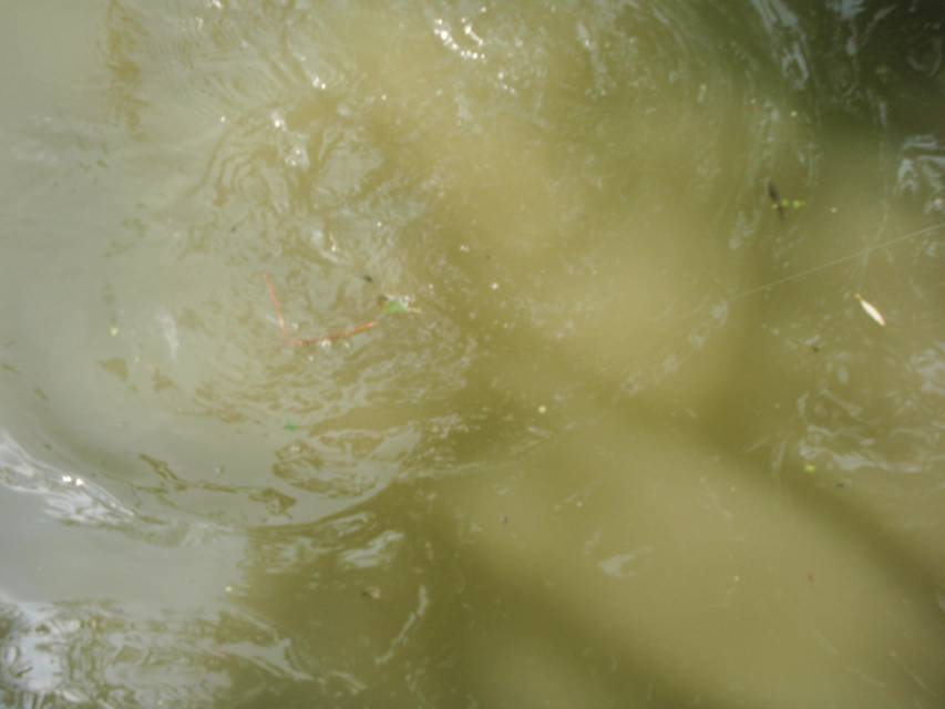 06-24-2010 002.jpg
