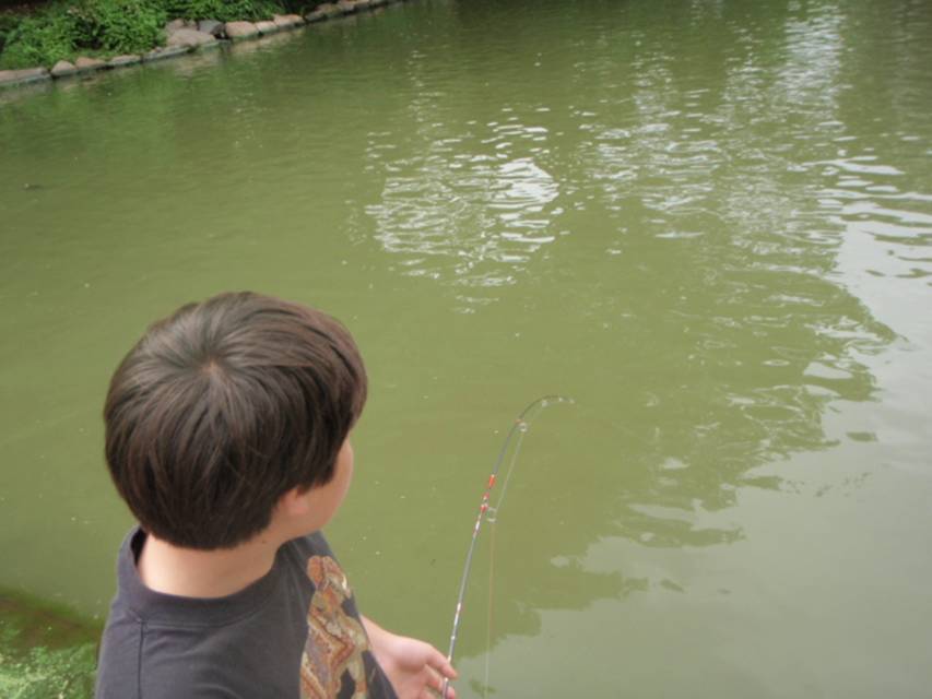 06-14-2010 003.jpg