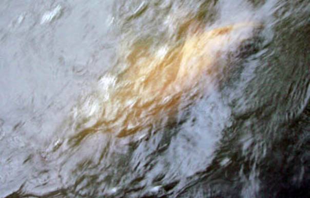 06-09-2010.jpg