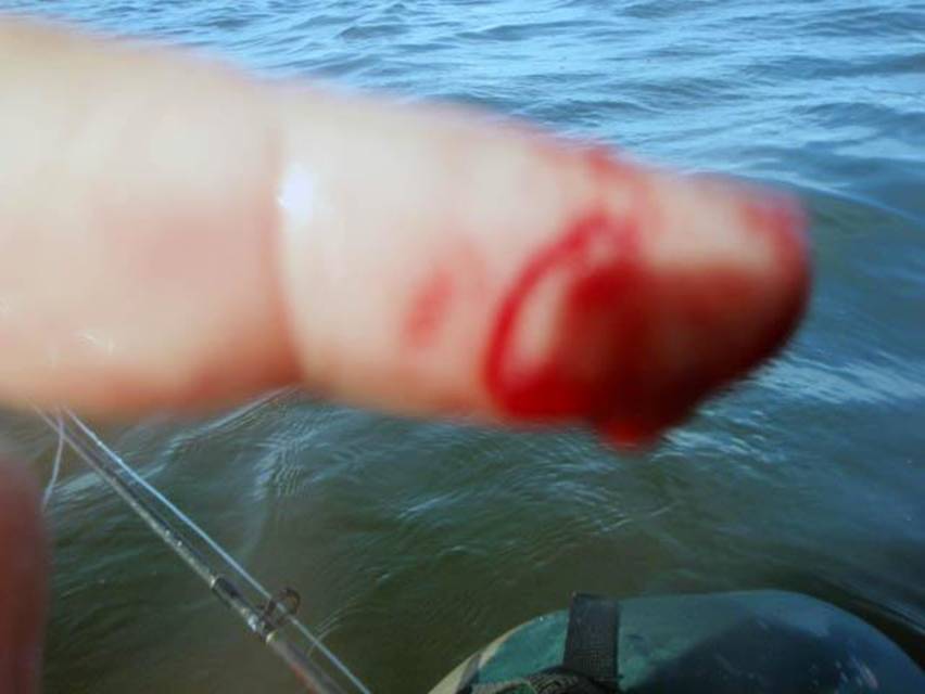 03-15-2010 002.jpg