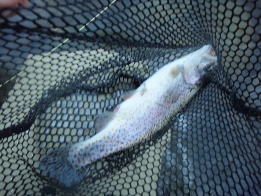 08-03-10 002.jpg