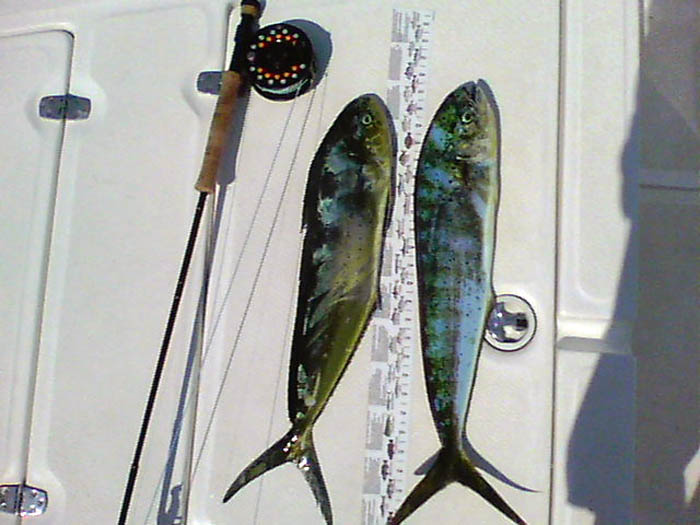 05-14-11 002.jpg