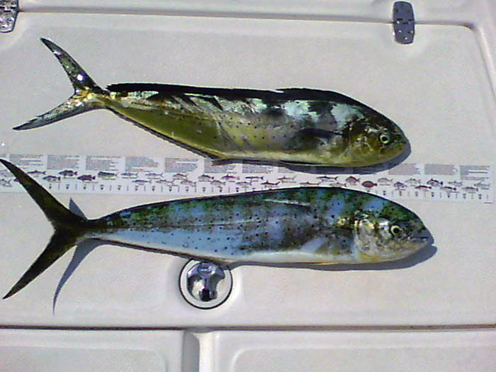 05-14-11 001.jpg