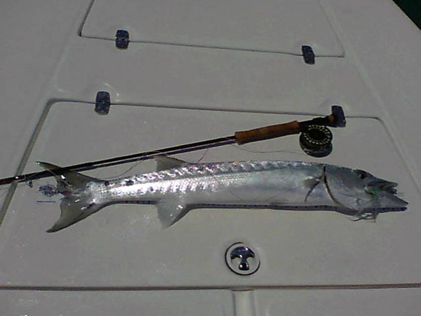 05-11-11 002.jpg