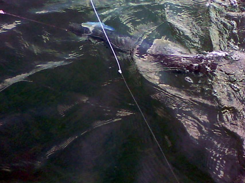04-12-11 006.jpg