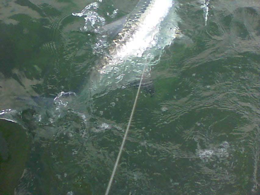 04-12-11 007.jpg
