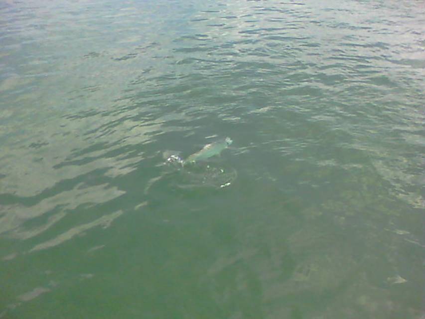 04-12-11 001.jpg