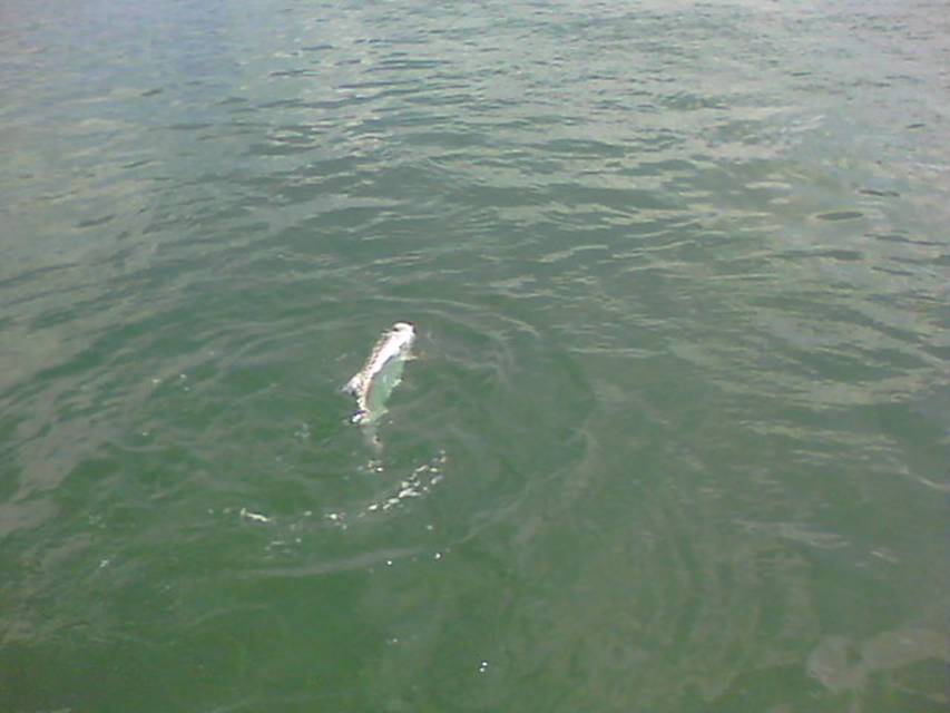 04-12-11 002.jpg