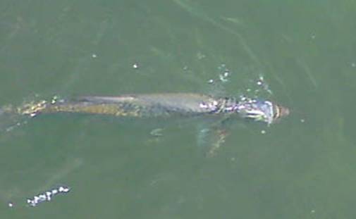 04-12-11 005.jpg