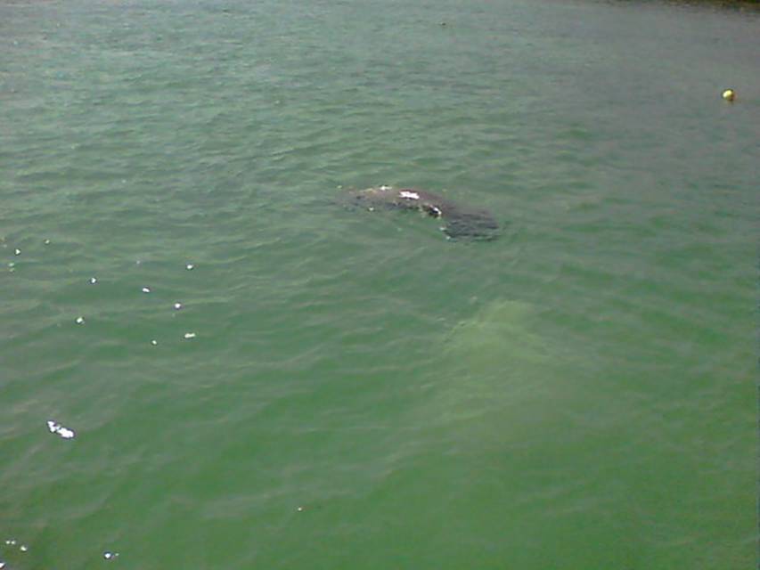 100_0025.JPG
