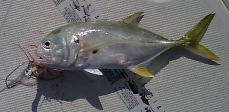 Mar 29 2011 002.jpg