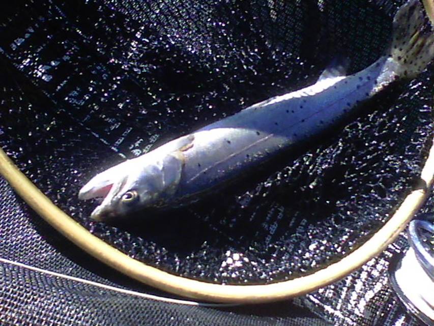 100_0159.JPG
