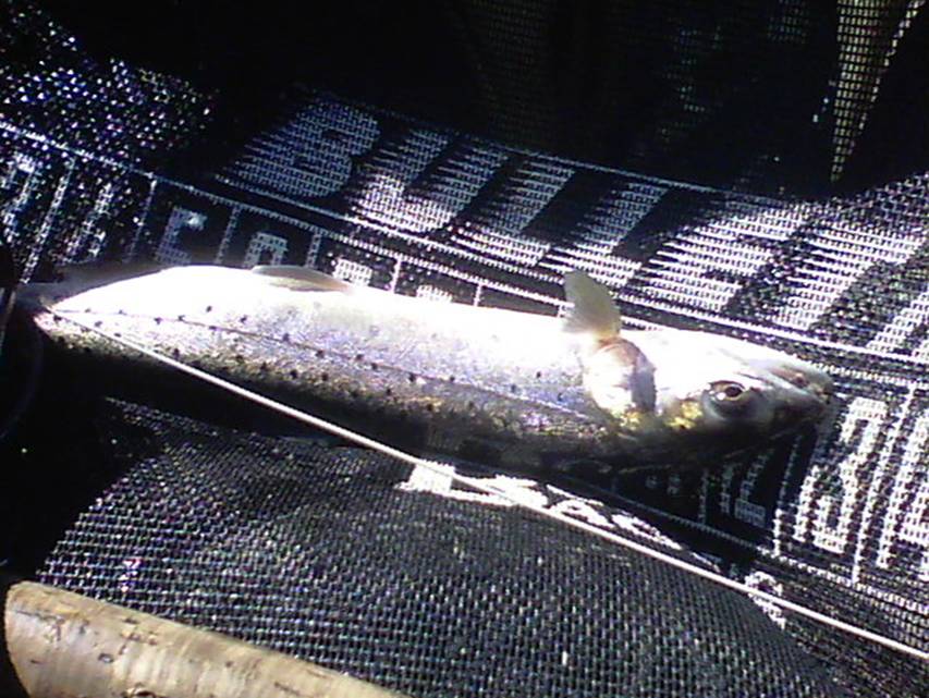 100_0160.JPG