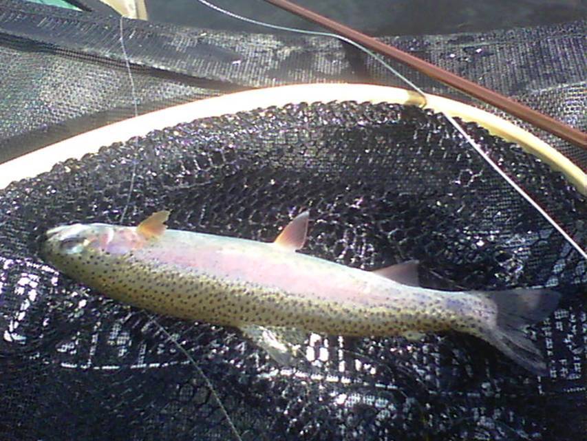 100_0119.JPG