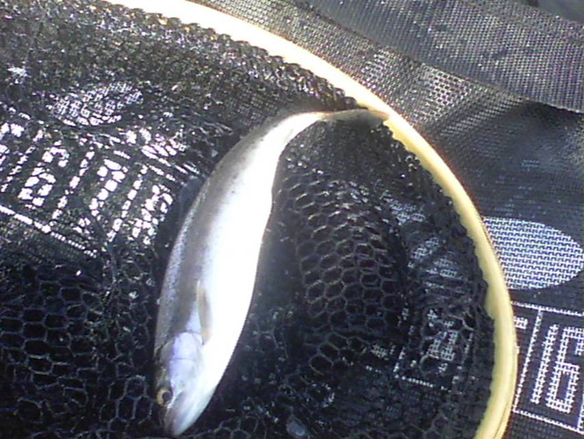 100_0122.JPG