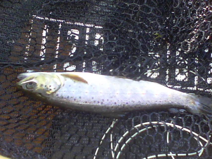 100_0123.JPG