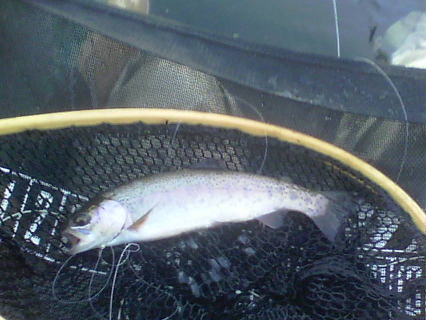 08-11-2011 001.jpg