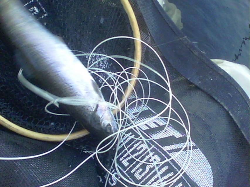 08-11-2011 002.jpg