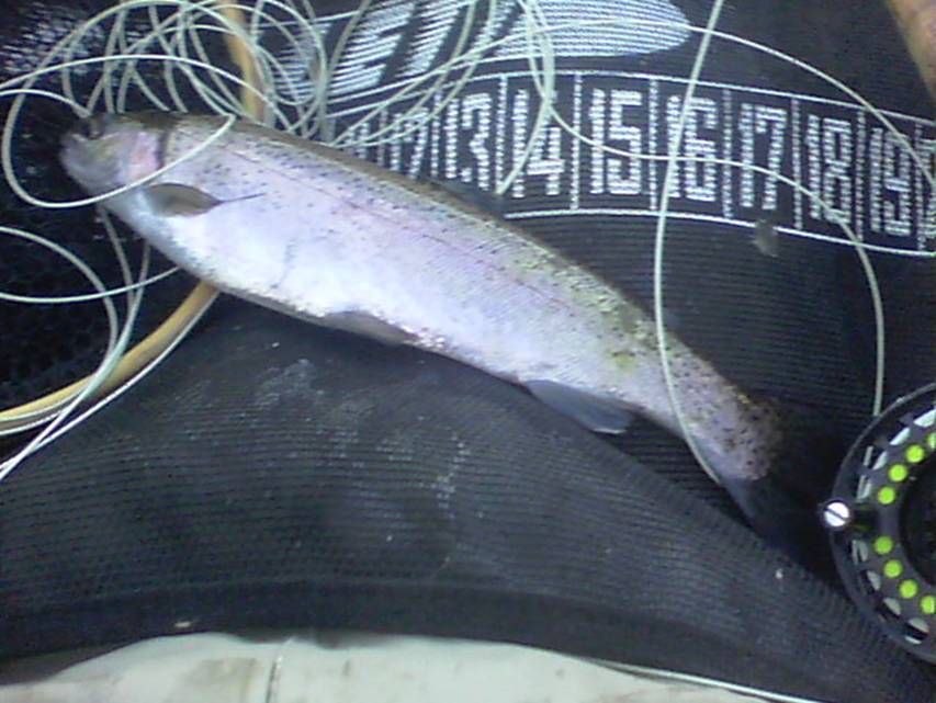08-11-2011 003.jpg