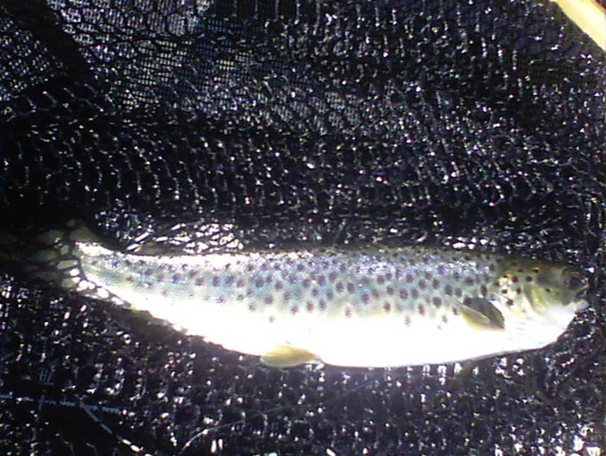 08-11-2011 004.jpg