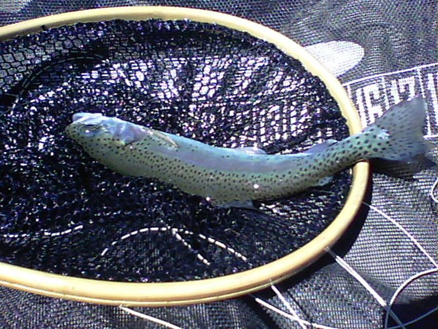07-21-11 002.jpg