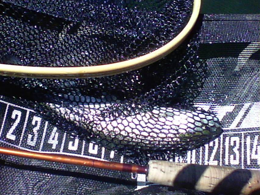 07-21-11 004.jpg
