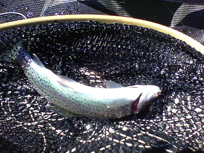 07-21-11 005.jpg