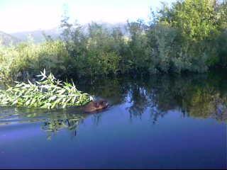 07-19-11 002_0001.jpg