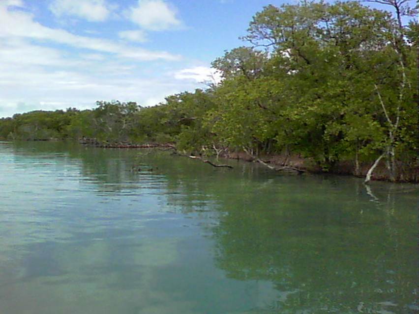 Description: Description: Description: Description: 5-25-12 004