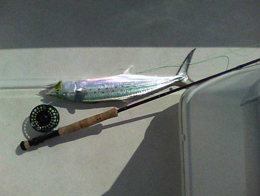 100_0045.JPG